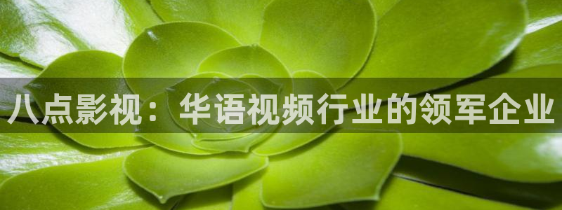 新视觉好片网