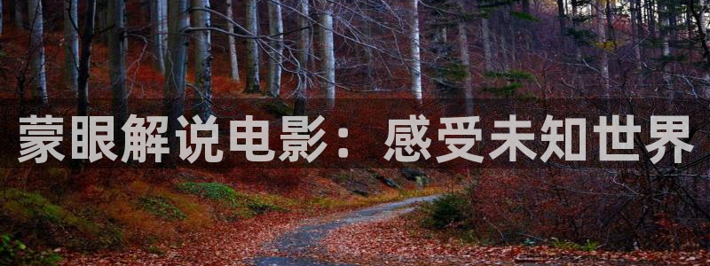 6080新视觉理论电视剧在线观看：蒙眼解说电影：感受未知世界