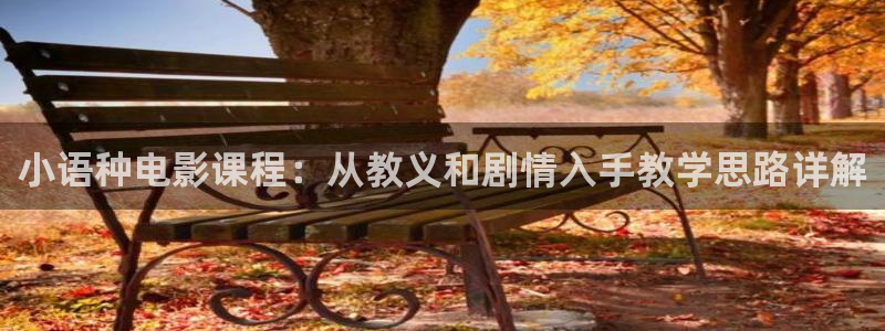 新视觉6080高清电视剧2024免费观看：小语种电影课程：从教义和剧情入手教学思路详解