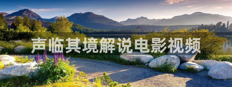 新视觉影院手机在线