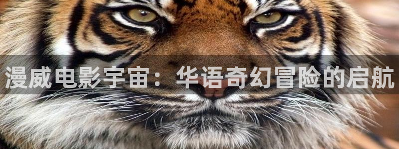 新视觉影院网页