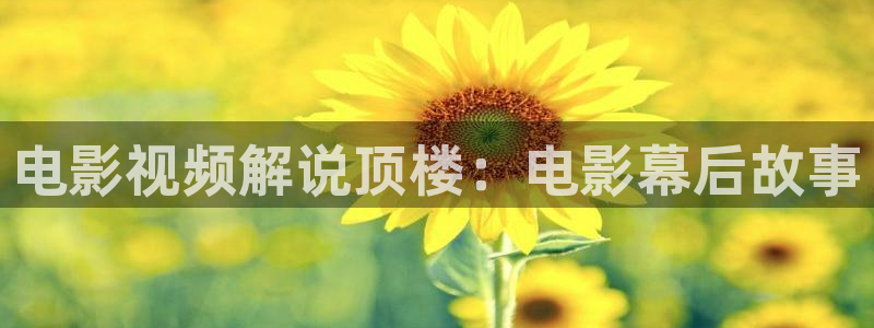新视觉看吧