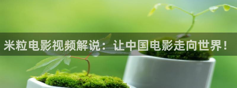 新视觉电视电影网6080