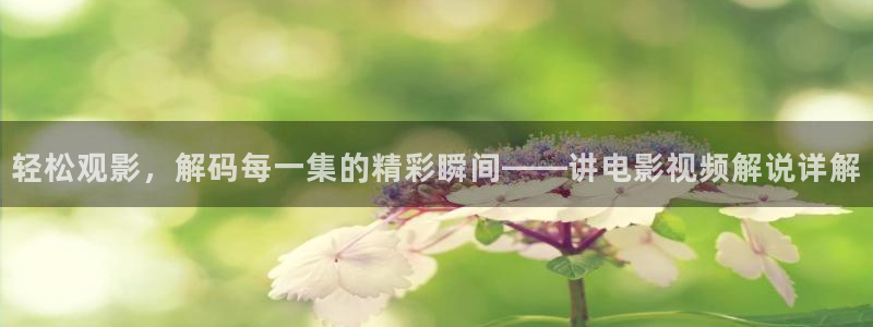新视觉电影网在线观看