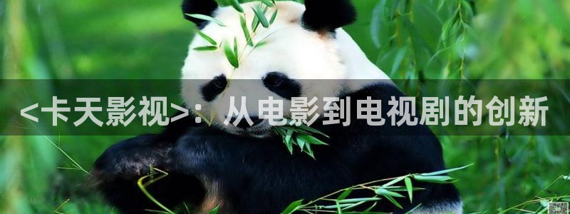 新视觉电视剧免费