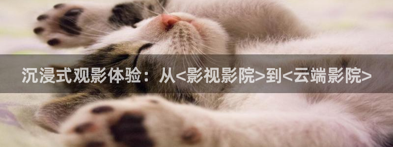 新视觉影院秋霞