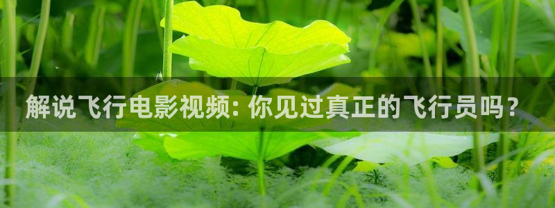6080新视觉手机官网
