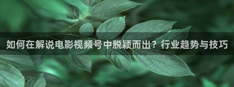 新视觉影院后浪