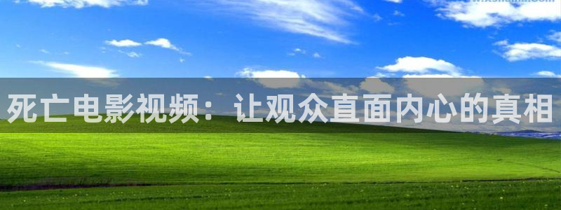yy新视觉电视剧免费观看