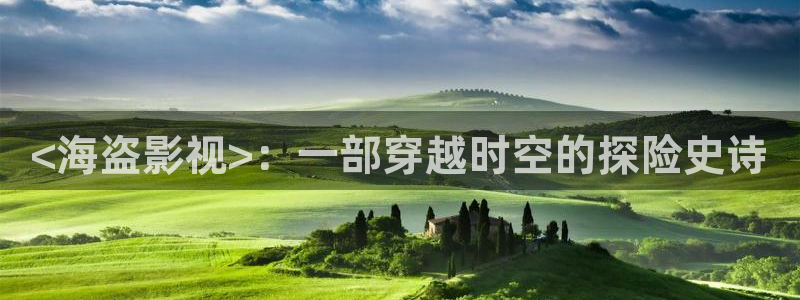 山东新视觉医疗科技有限公司