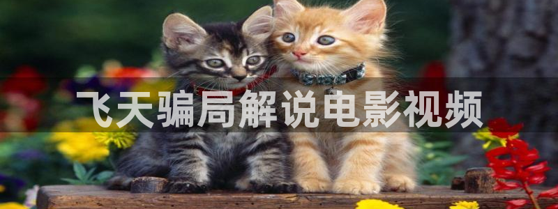 yy6080新视觉影视院