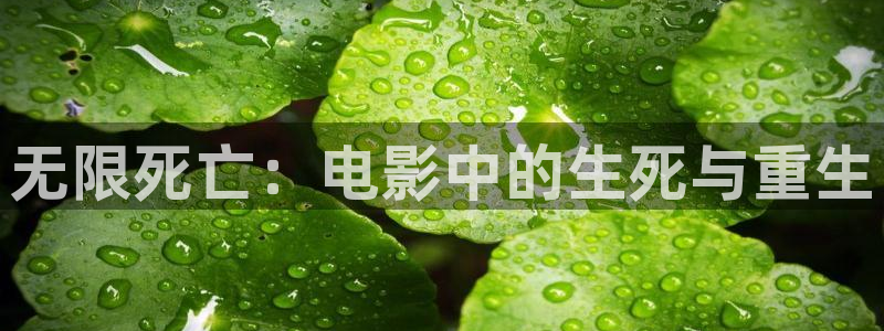 6080新视觉电影电视剧在线观