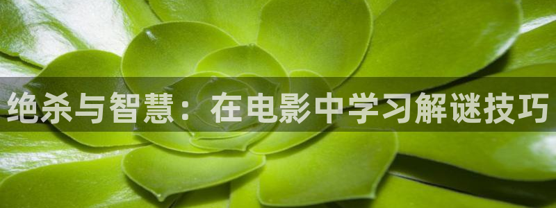 成都新视觉眼科