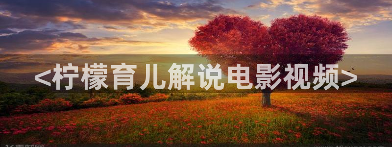 新视觉无敌马逗别看
