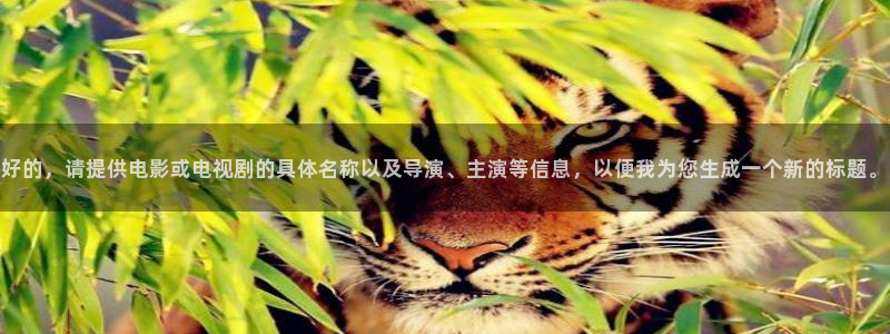 yy6080新视觉私人影院
