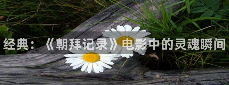 4410新视觉影院最新热门电视剧