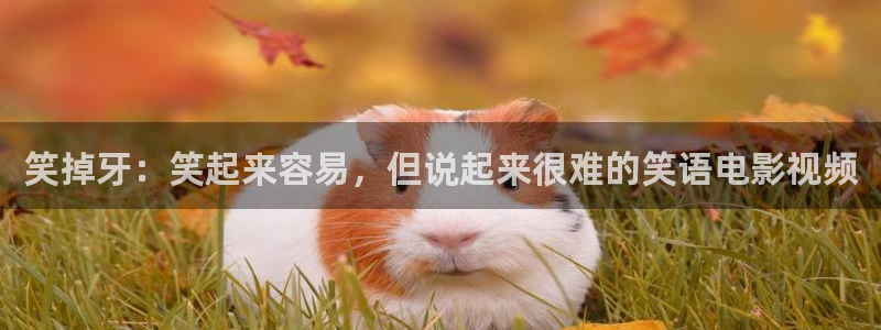 6080新视觉手机版