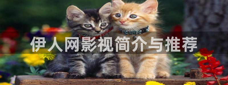 yy新视觉入口